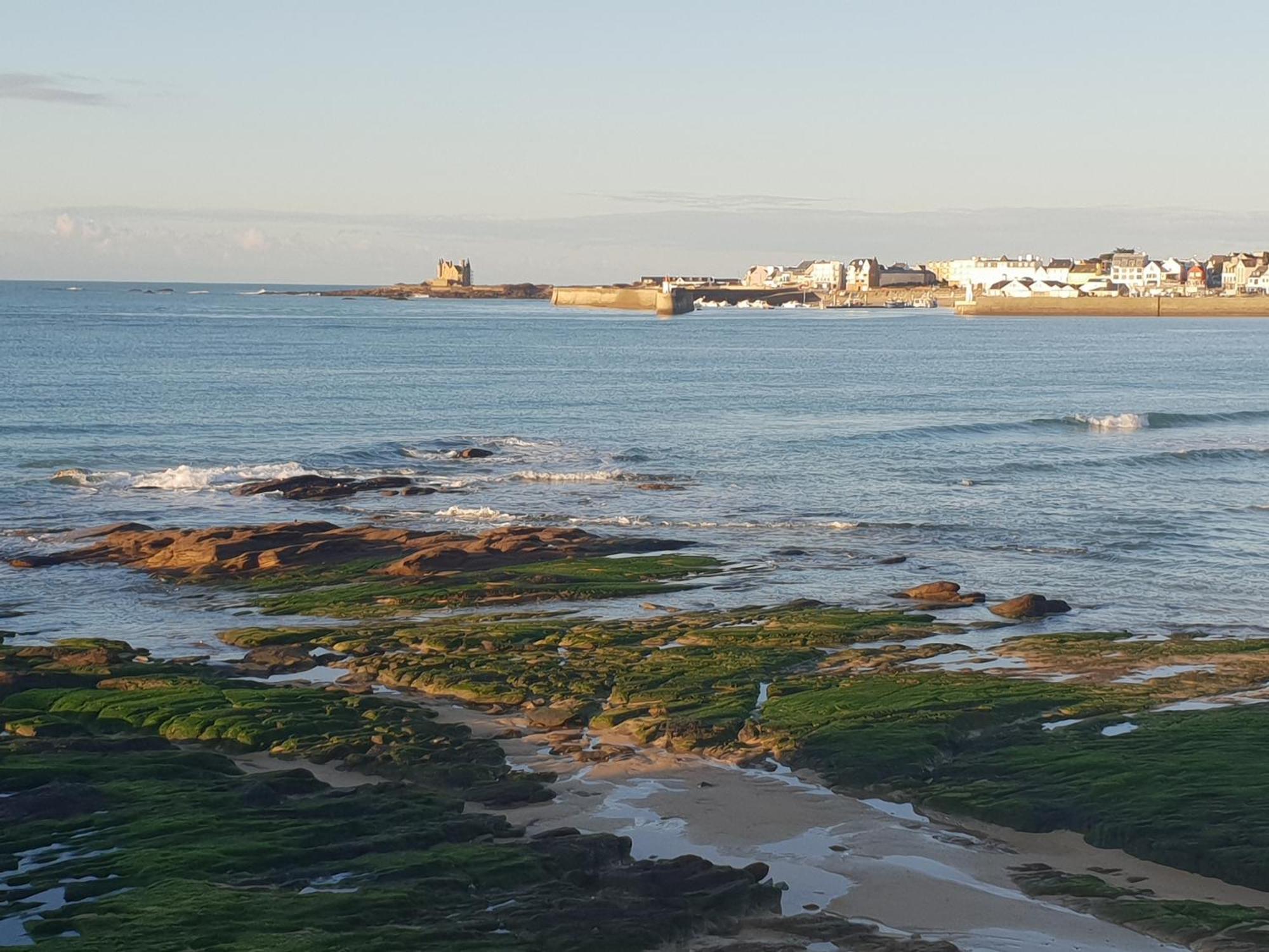 Appartement Cocon A Quiberon Dans Residence Calme, Plages Et Centre Ville A Pied Ou A Velo Pour 2 A 4 Personnes Dış mekan fotoğraf