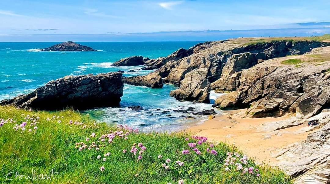 Appartement Cocon A Quiberon Dans Residence Calme, Plages Et Centre Ville A Pied Ou A Velo Pour 2 A 4 Personnes Dış mekan fotoğraf
