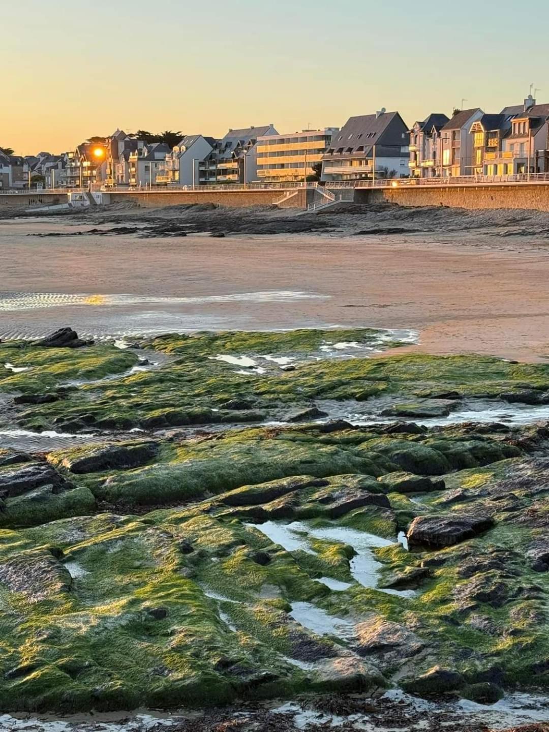 Appartement Cocon A Quiberon Dans Residence Calme, Plages Et Centre Ville A Pied Ou A Velo Pour 2 A 4 Personnes Dış mekan fotoğraf